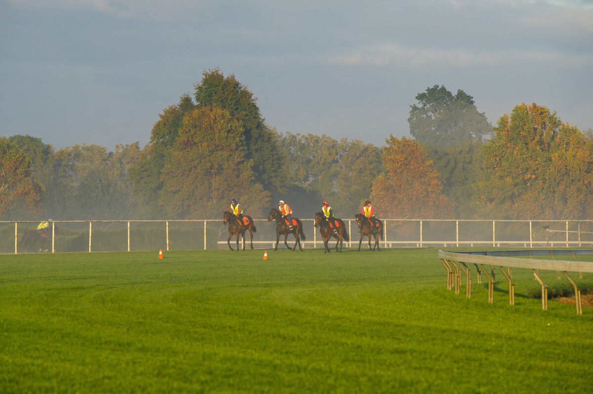 Te Akau Thursday Trackwork