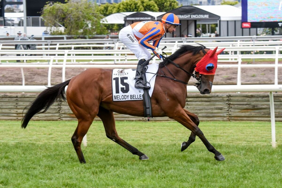 Melody Belle - Trial Winner