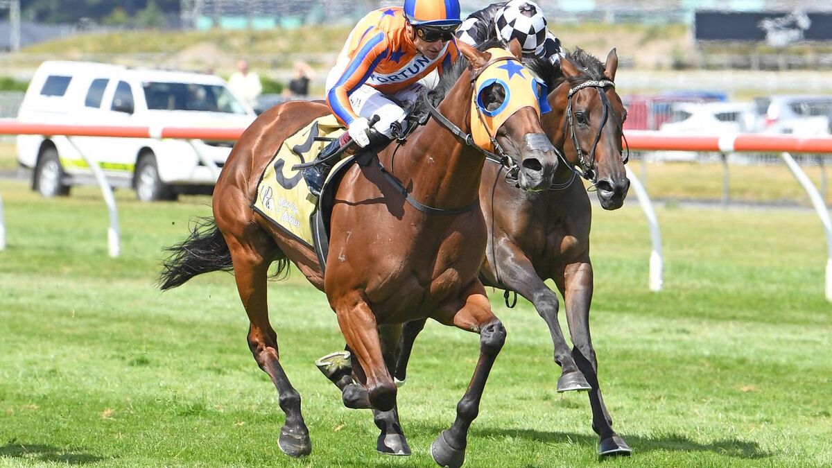 Melody Belle Ready for Penultimate Race