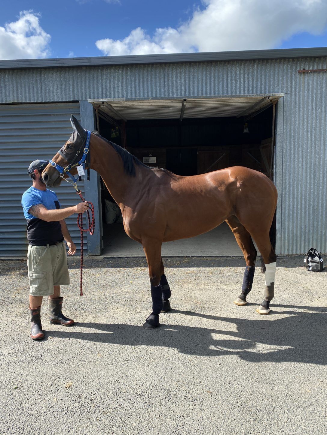 Te Akau Thursday Update