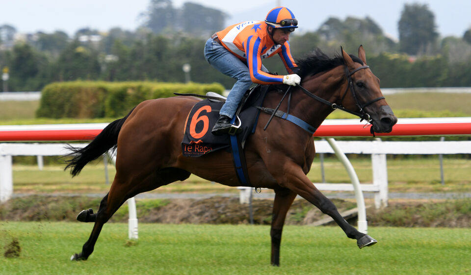 Sparkling Te Akau Exhibition Gallops