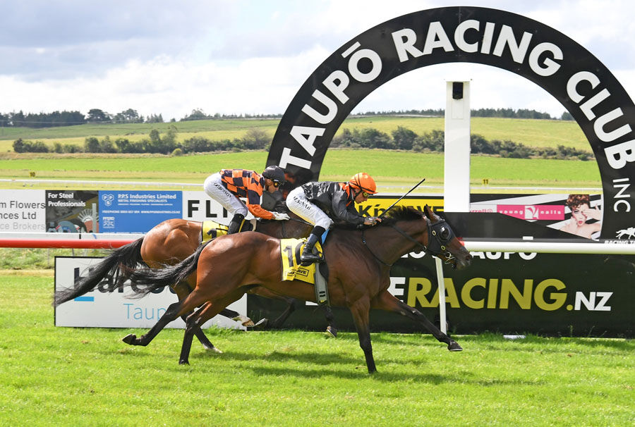 Taupo Double - It's Mehzebeen's Taupo Cup