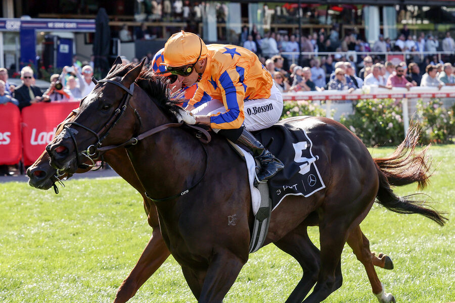Imperatriz Ready to Shine in Sydney