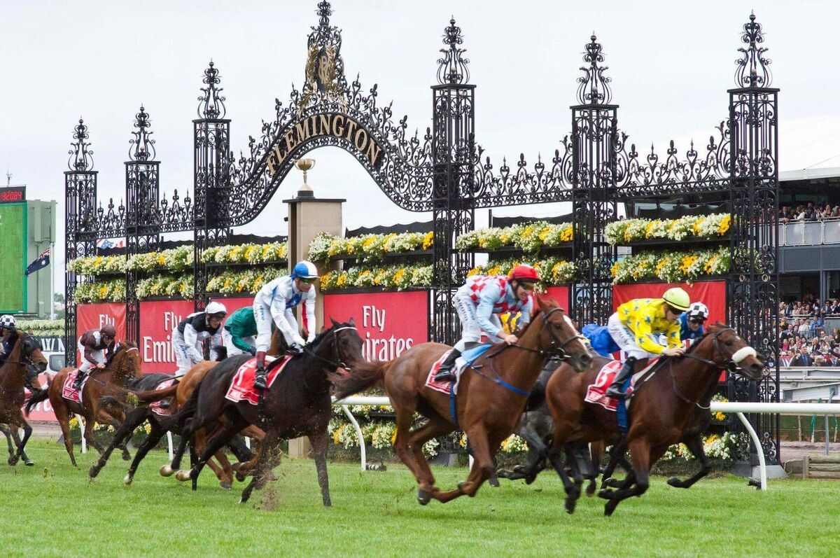 Te Akau Melbourne Cup Day NZ Preview