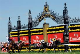 Te Akau Tuesday Preview