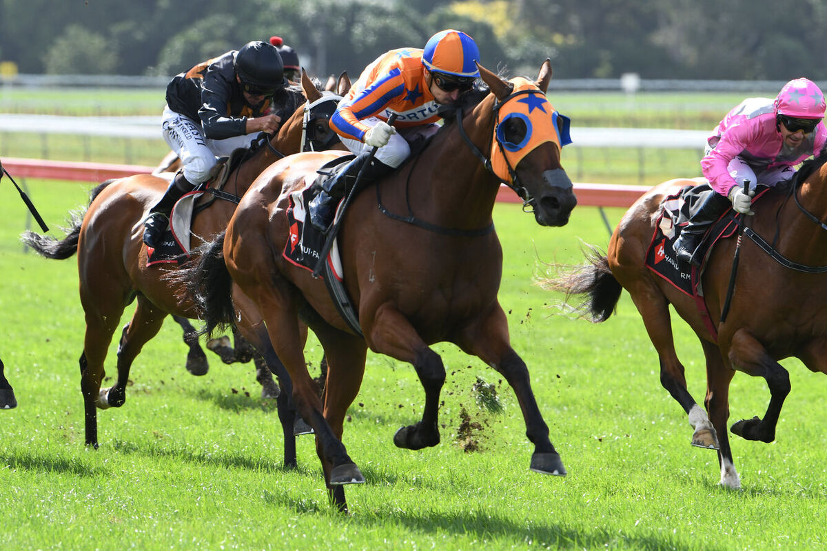Melody Belle set to Defend Tarzino Trophy