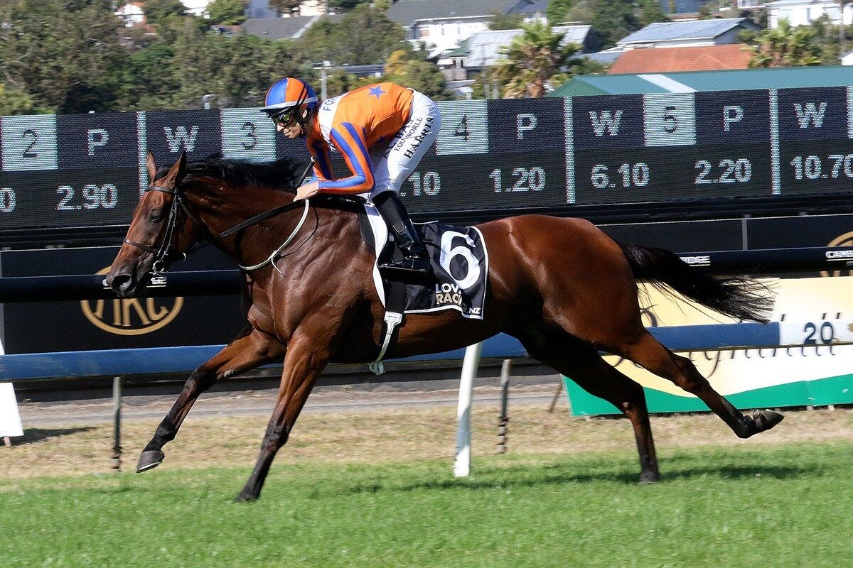 Melody Belle Forward for Missile
