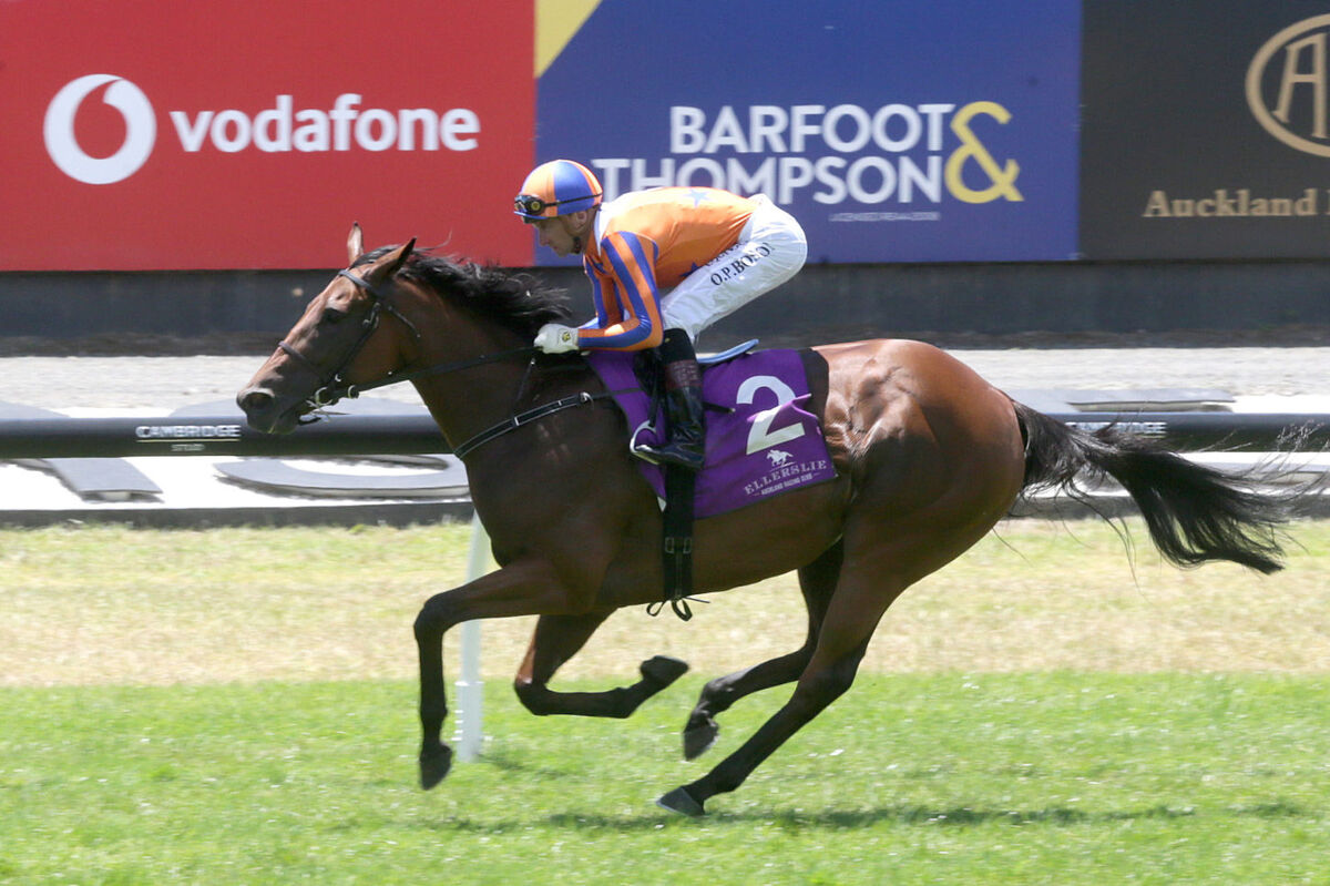 Te Akau Ellerslie Exhibition Gallops