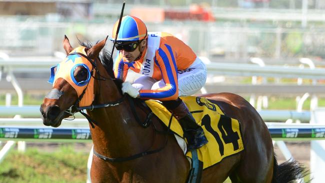 Te Akau TV SUPER SATURDAY