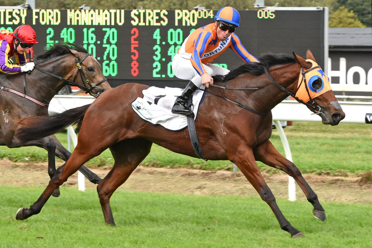 Hutchings to ride Melody Belle