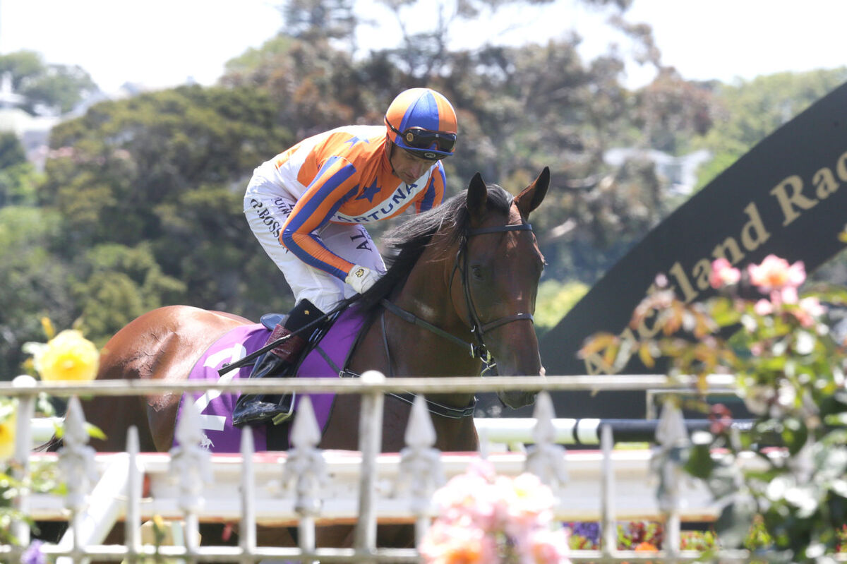 Te Akau TV - Thorndon Mile week!