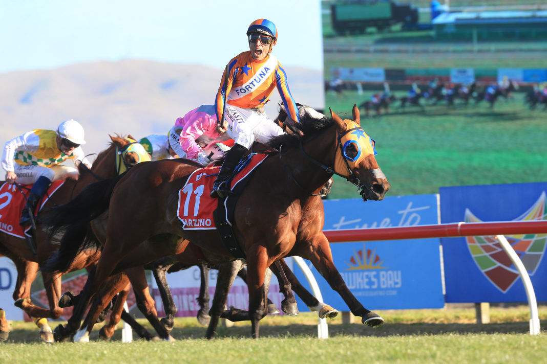 WATCH: TAB - Mark Walker On Tarzino Runners