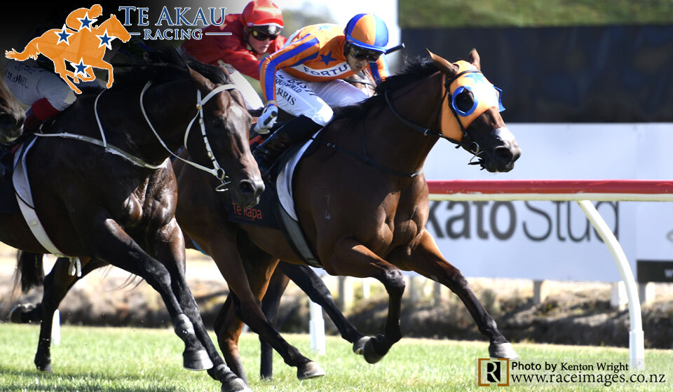 The Belle is Grp 1 Brilliant - again!