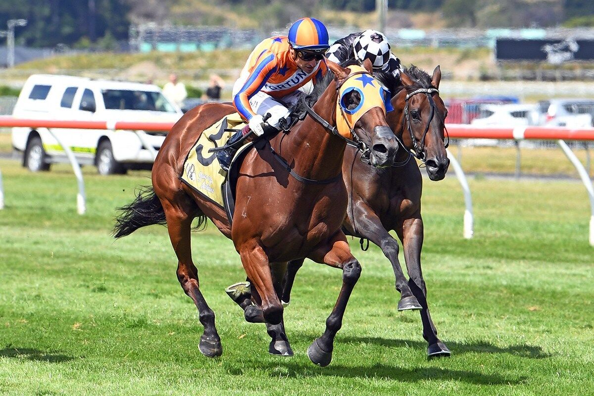 Melody Belle Equals the Mighty Sunline's Record
