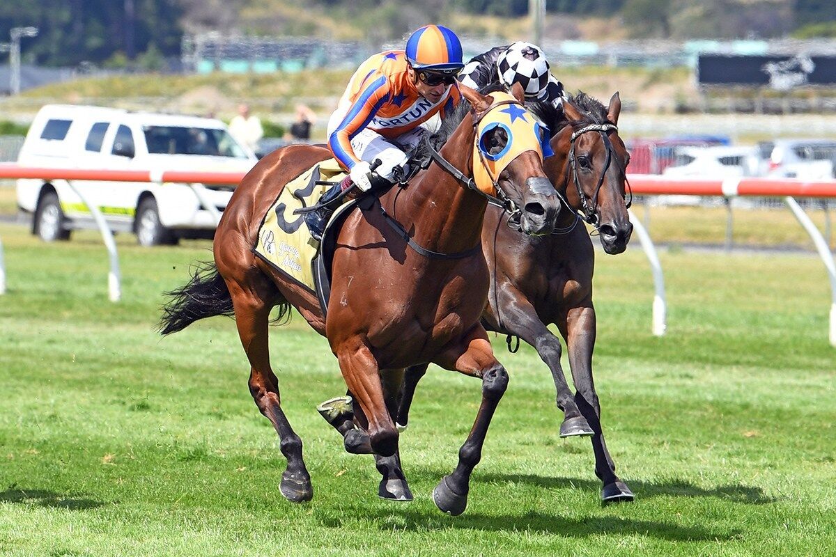 History Making Day in the Offing for Te Akau