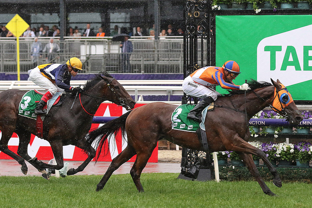 Trans-Tasman Group Race Excitement for Te Akau