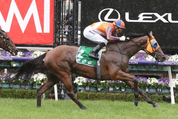Te Akau TV Trans Tasman Preview