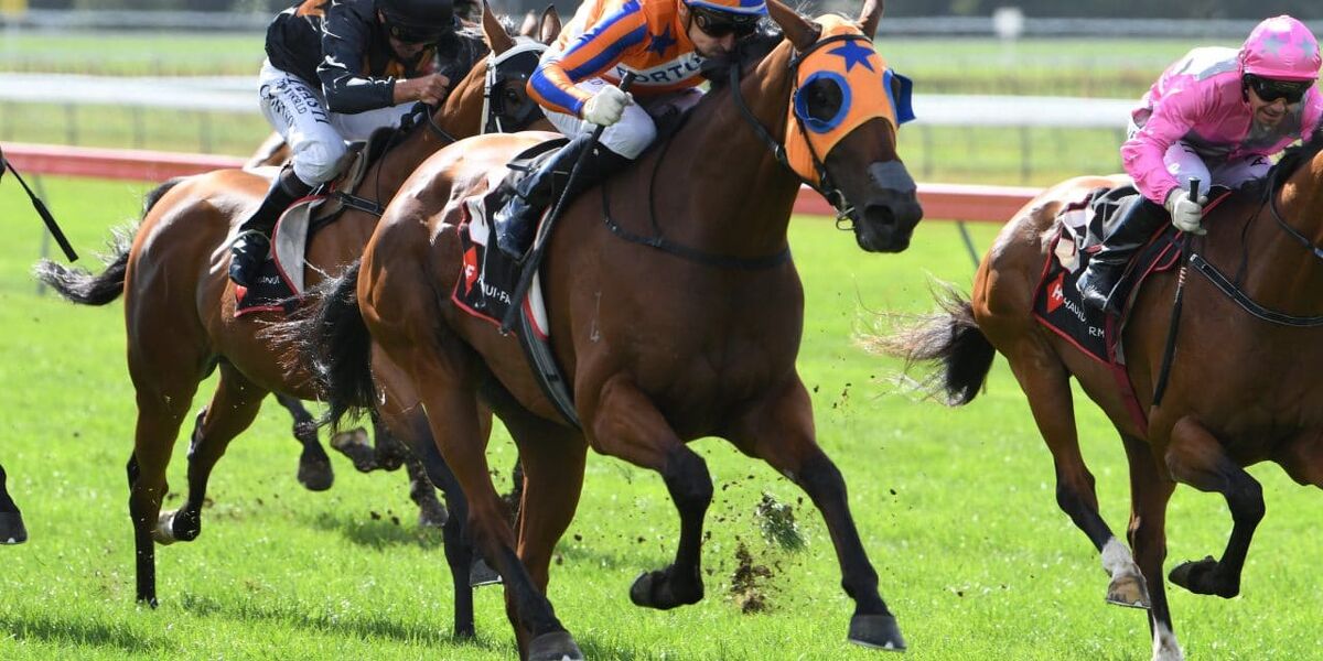 Star Mares Clash in Grp 1 Bonecrusher