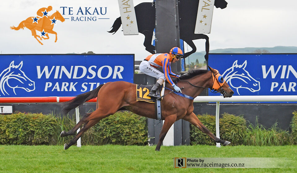 Te Akau's
