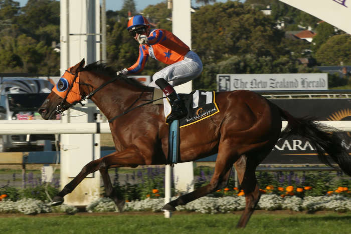 Te Akau TV - Saturday/Sunday Preview