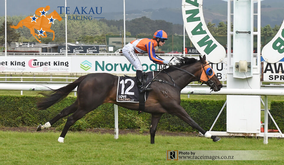 Meteoric Lass Emphatic at Awapuni