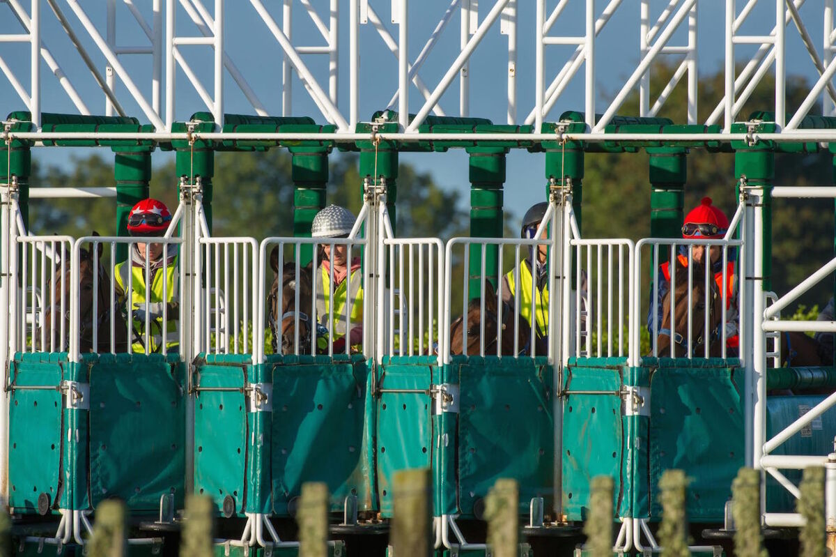 Te Akau Tuesday Trackwork