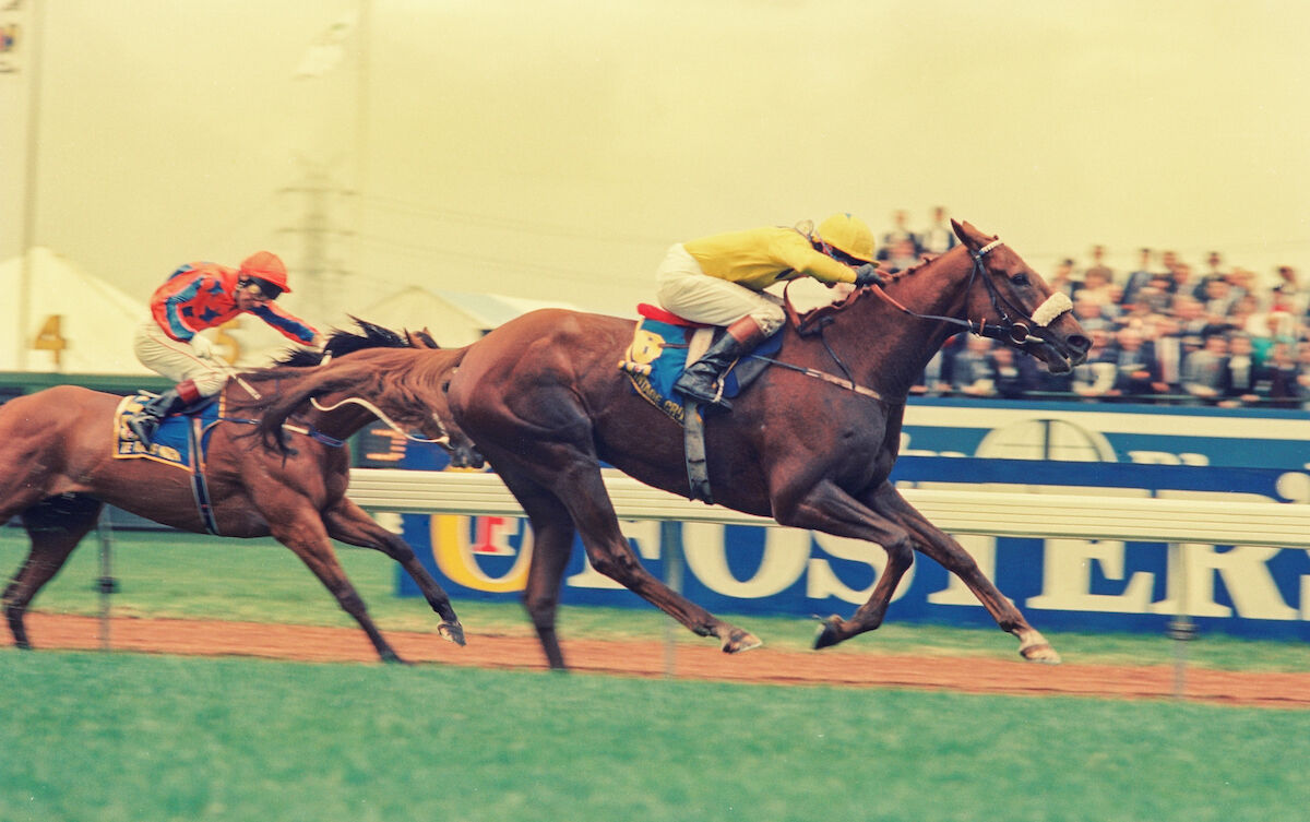 Melbourne Cup Memories