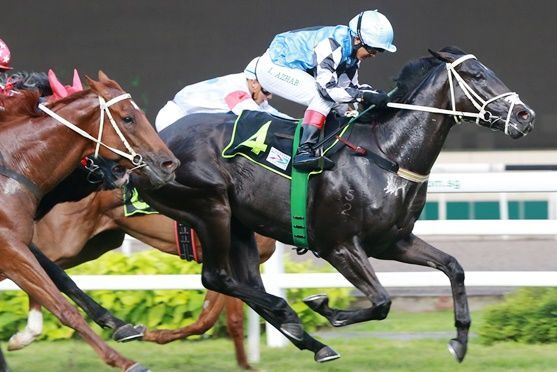 He Conquers on Debut
