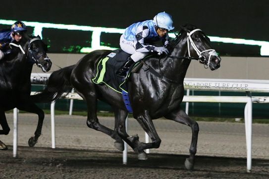 The Conqueror Races for Rhinos