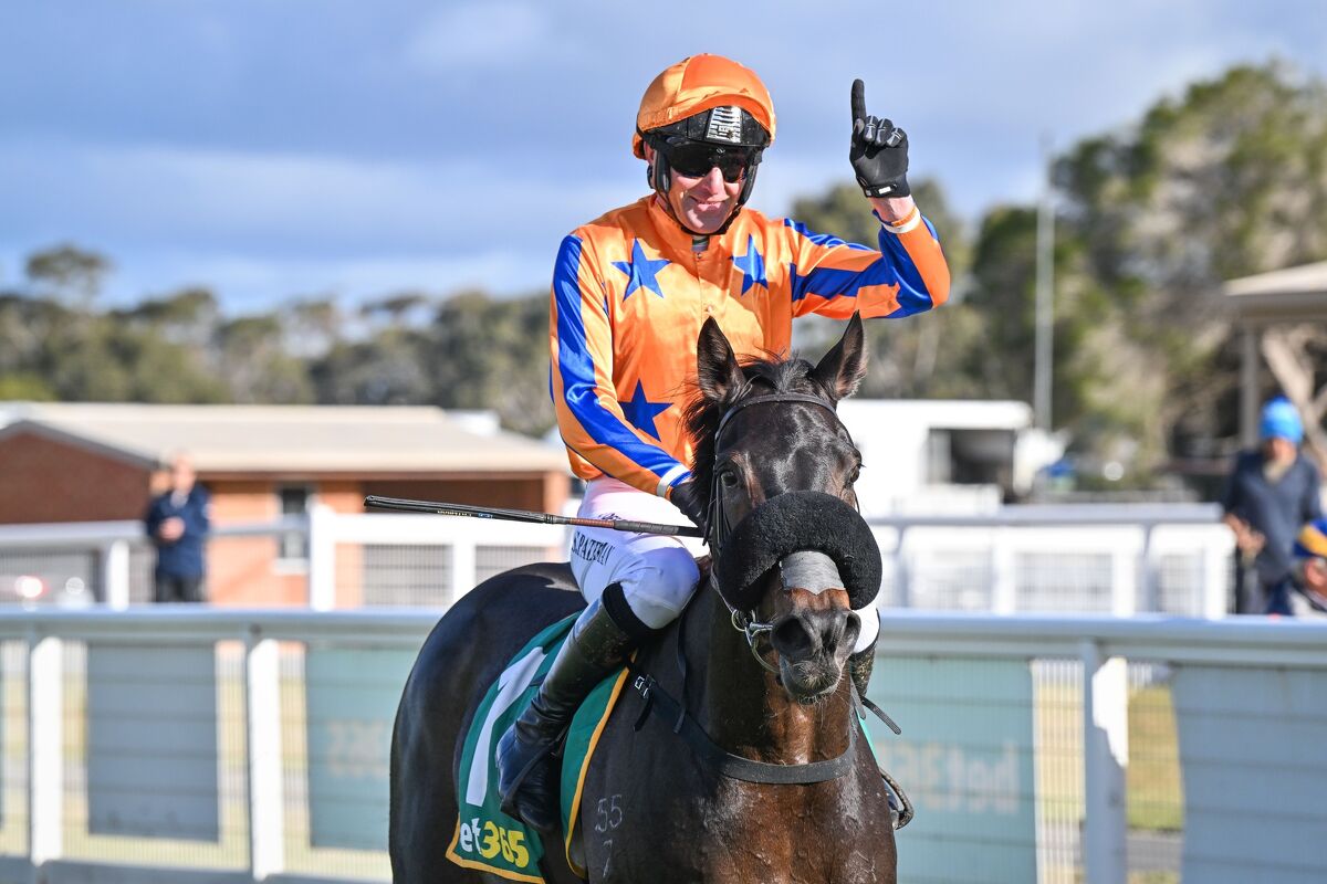 Te Akau Terang Sunday Preview