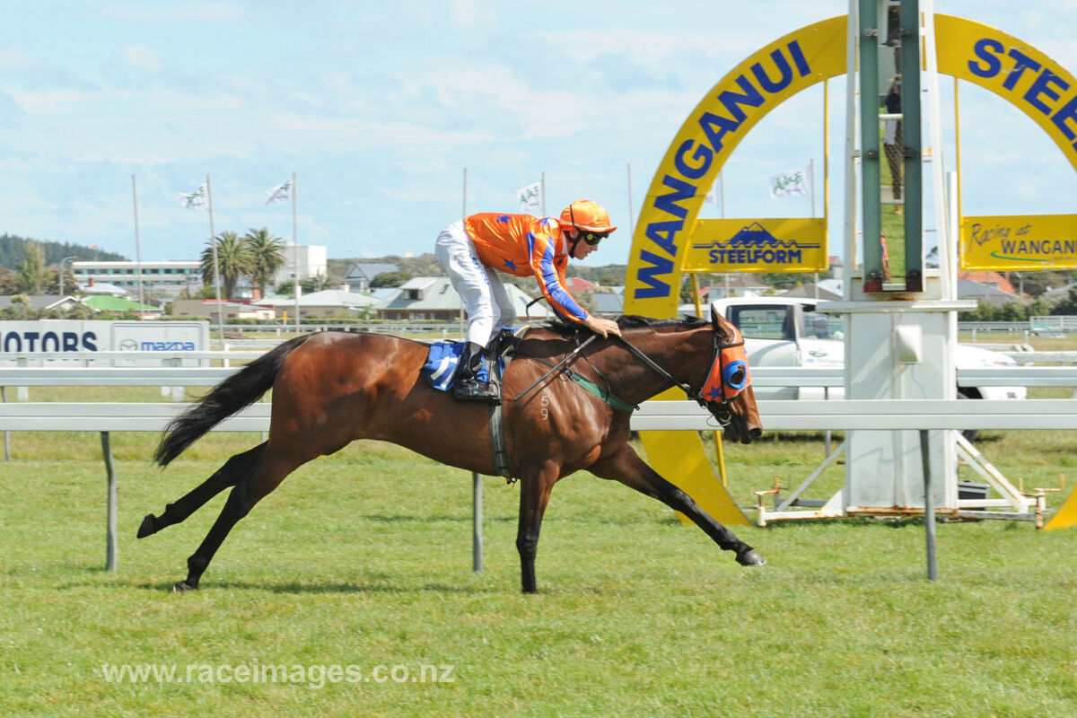 Te Akau Wanganui Preview