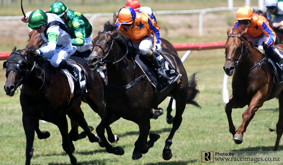 Te Akau Tauranga Friday Preview