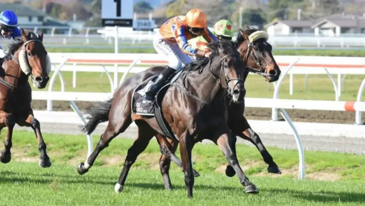 Stakes' Aim for Te Akau Mare