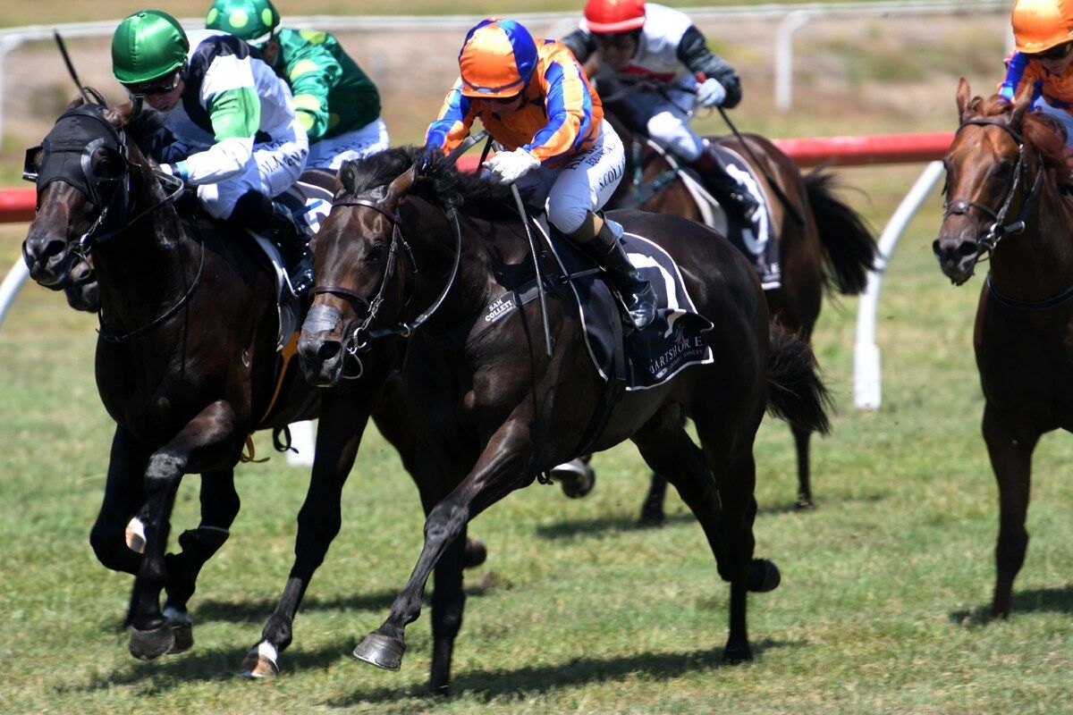 Te Akau Pair Karaka Million Bound