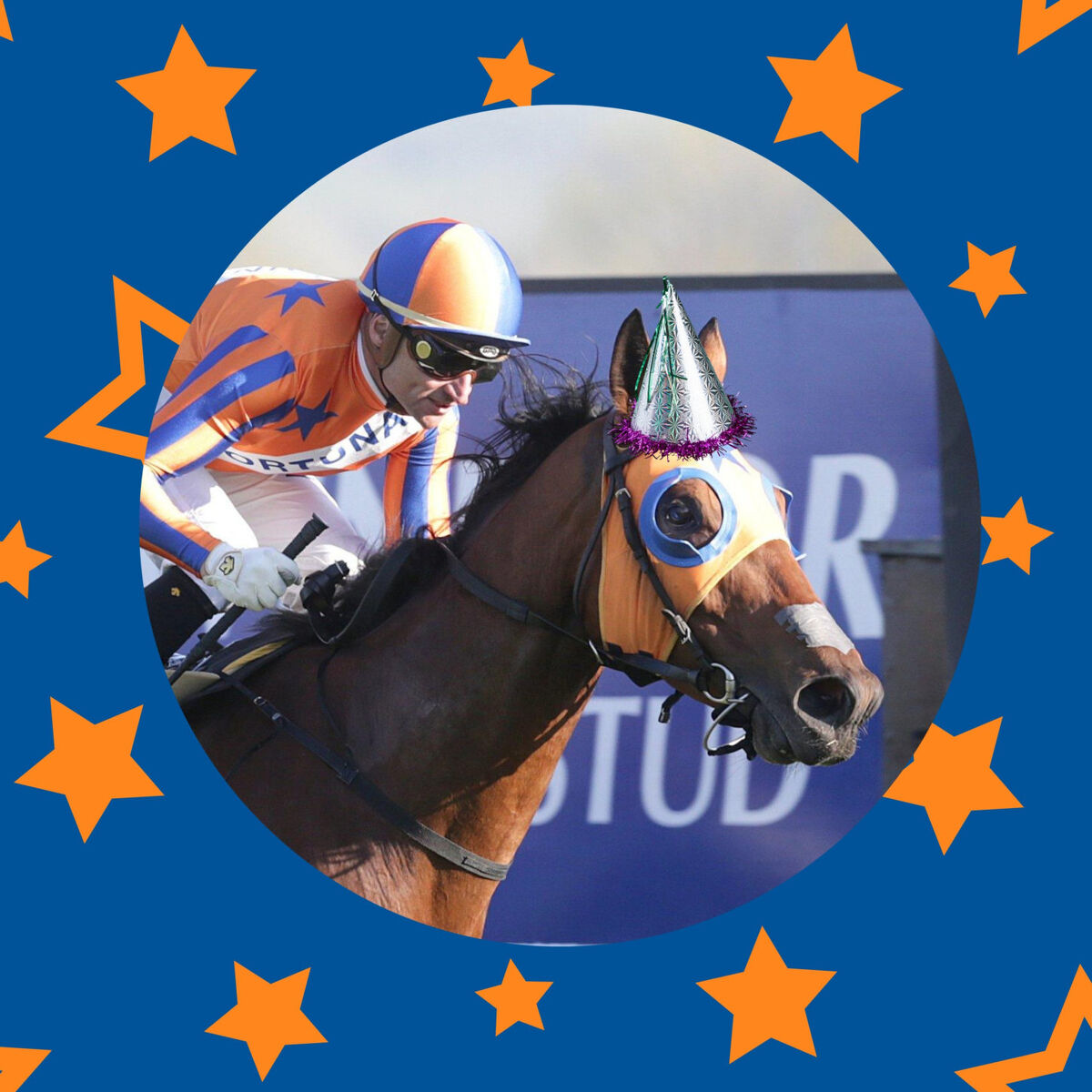 Happy Birthday Horses!