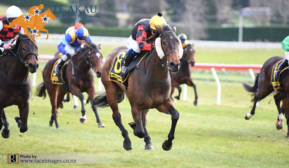 Two Wins at Taupo - No.1 Miss Aotearoa