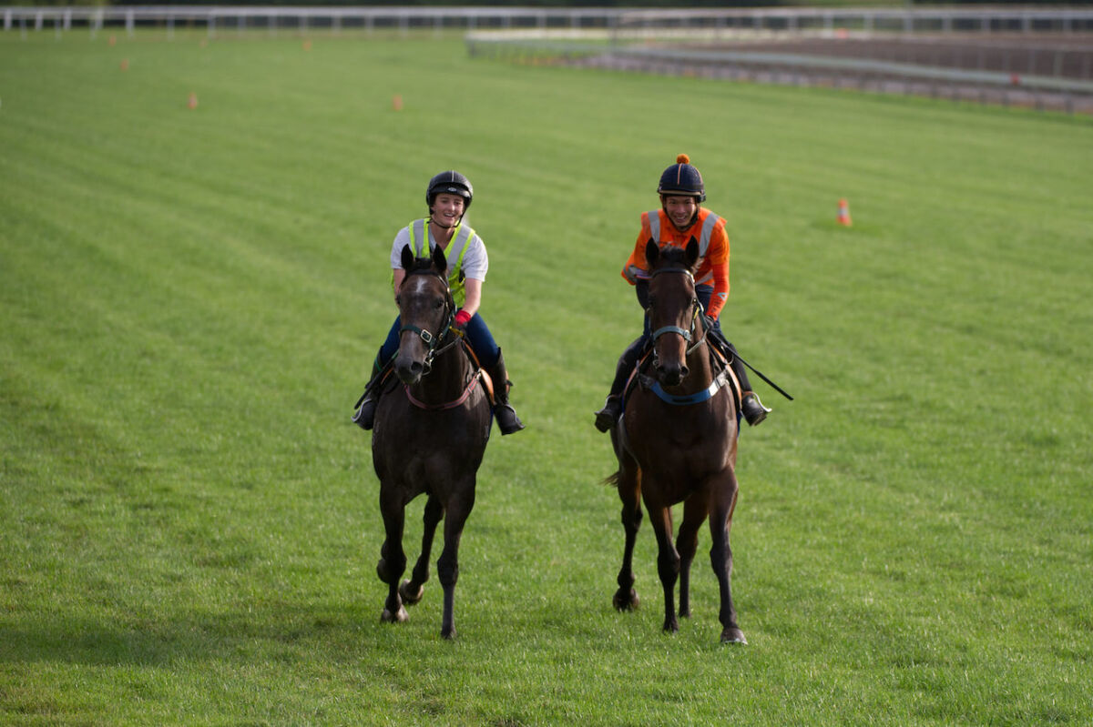 Te Akau Tuesday Trackwork