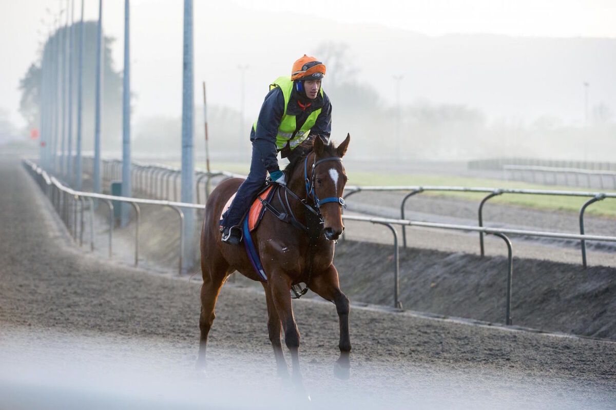 Te Akau Tuesday Trackwork