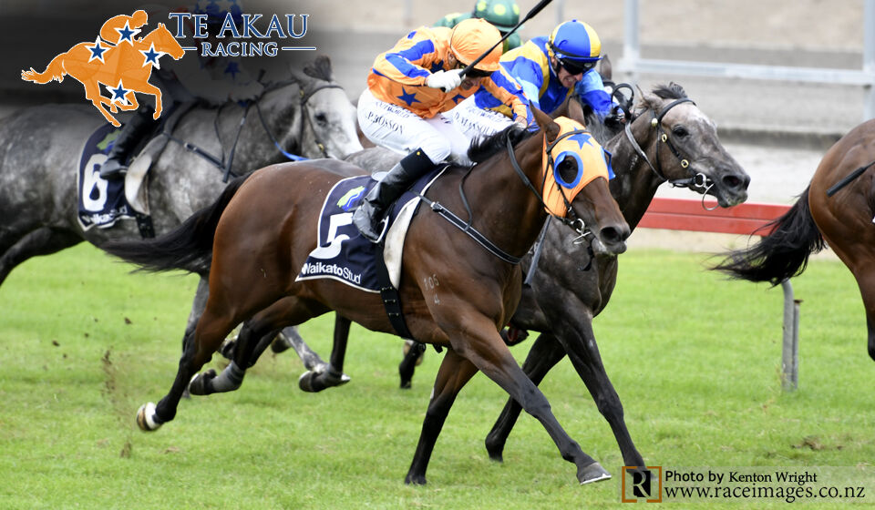 Win 3 - Miss Scandinavia Salutes Again