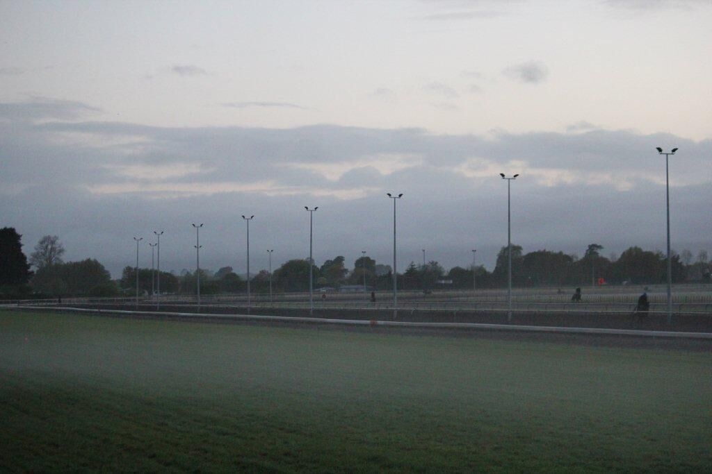 Te Akau Thursday Trackwork