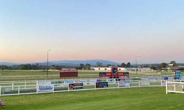 Te Akau Moe Friday Preview