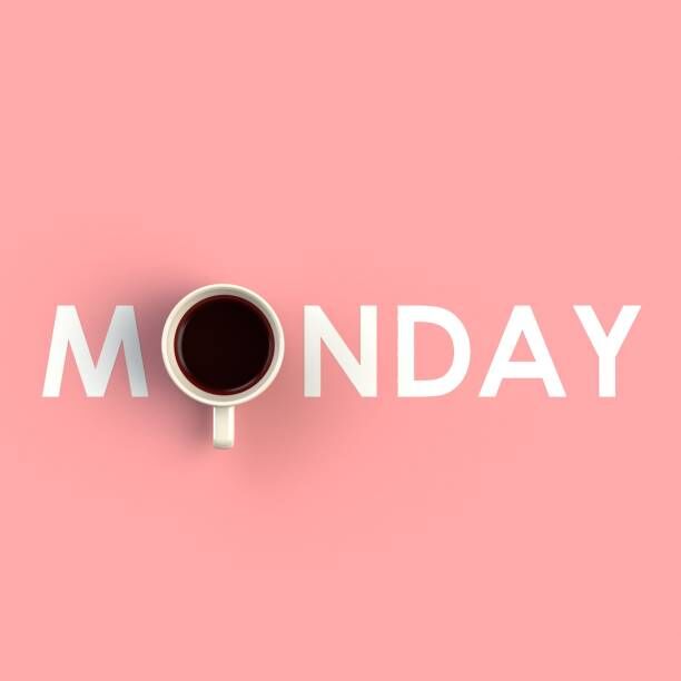 Te Akau Monday Update