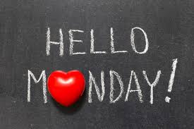 Te Akau Monday Update