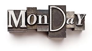 Te Akau Monday Update