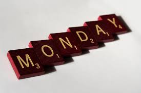 Te Akau Monday Update