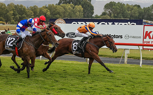 Te Akau Triple Saturday - Kith 'N' Kin Flies In