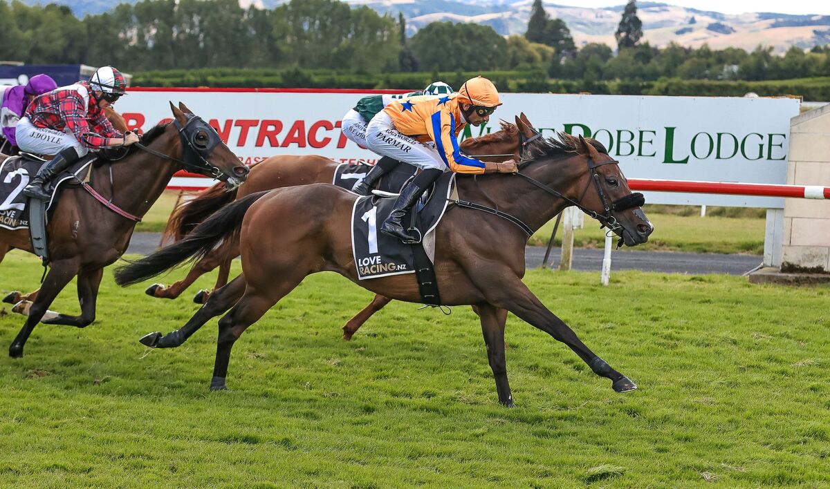 Te Akau Triple Saturday - Perfect Back to Back Group 3's