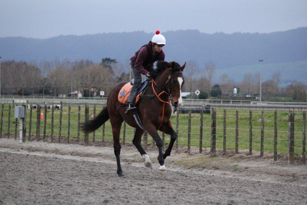 Te Akau Tuesday Trackwork