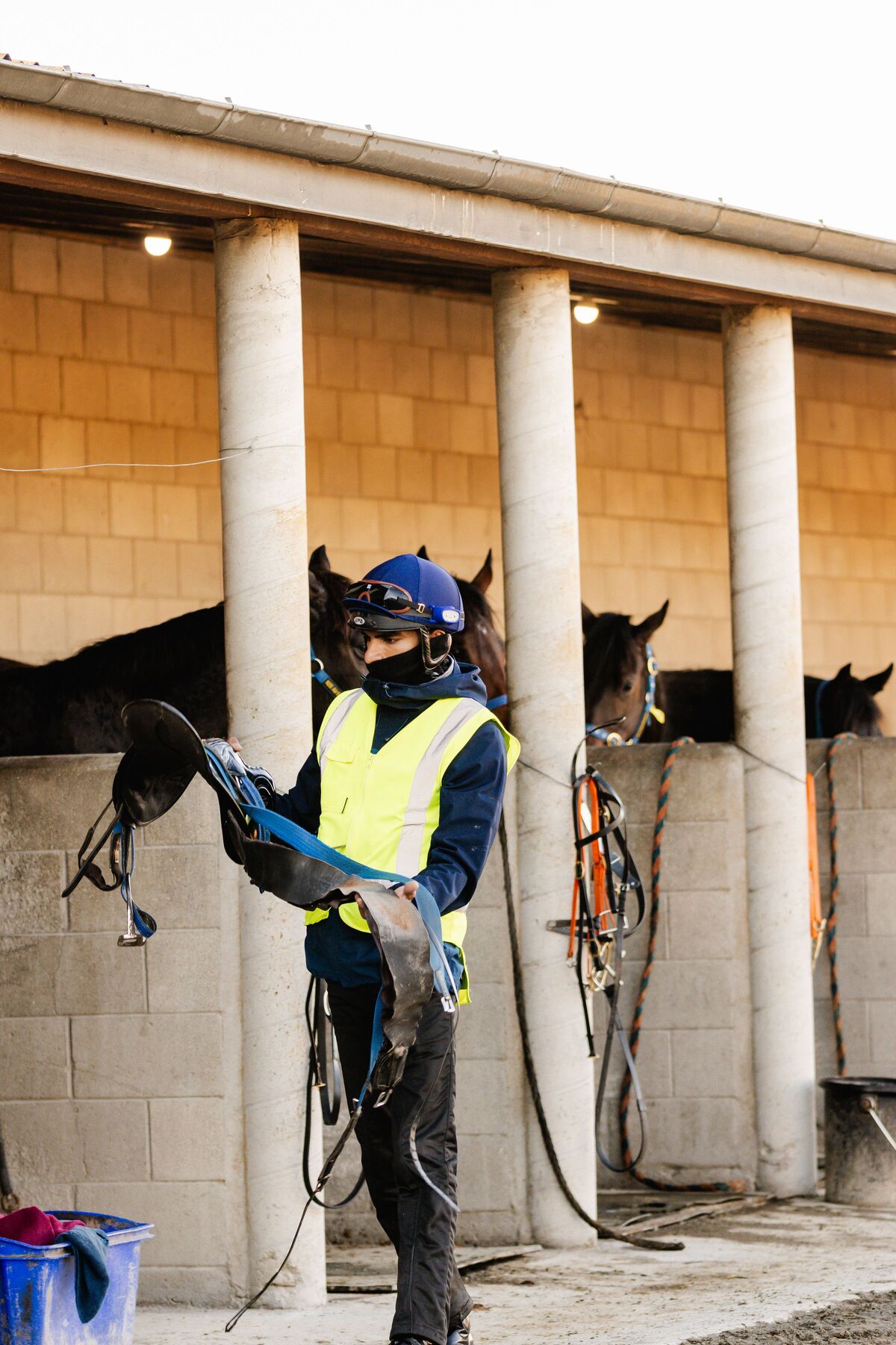 Te Akau Weekend Trackwork