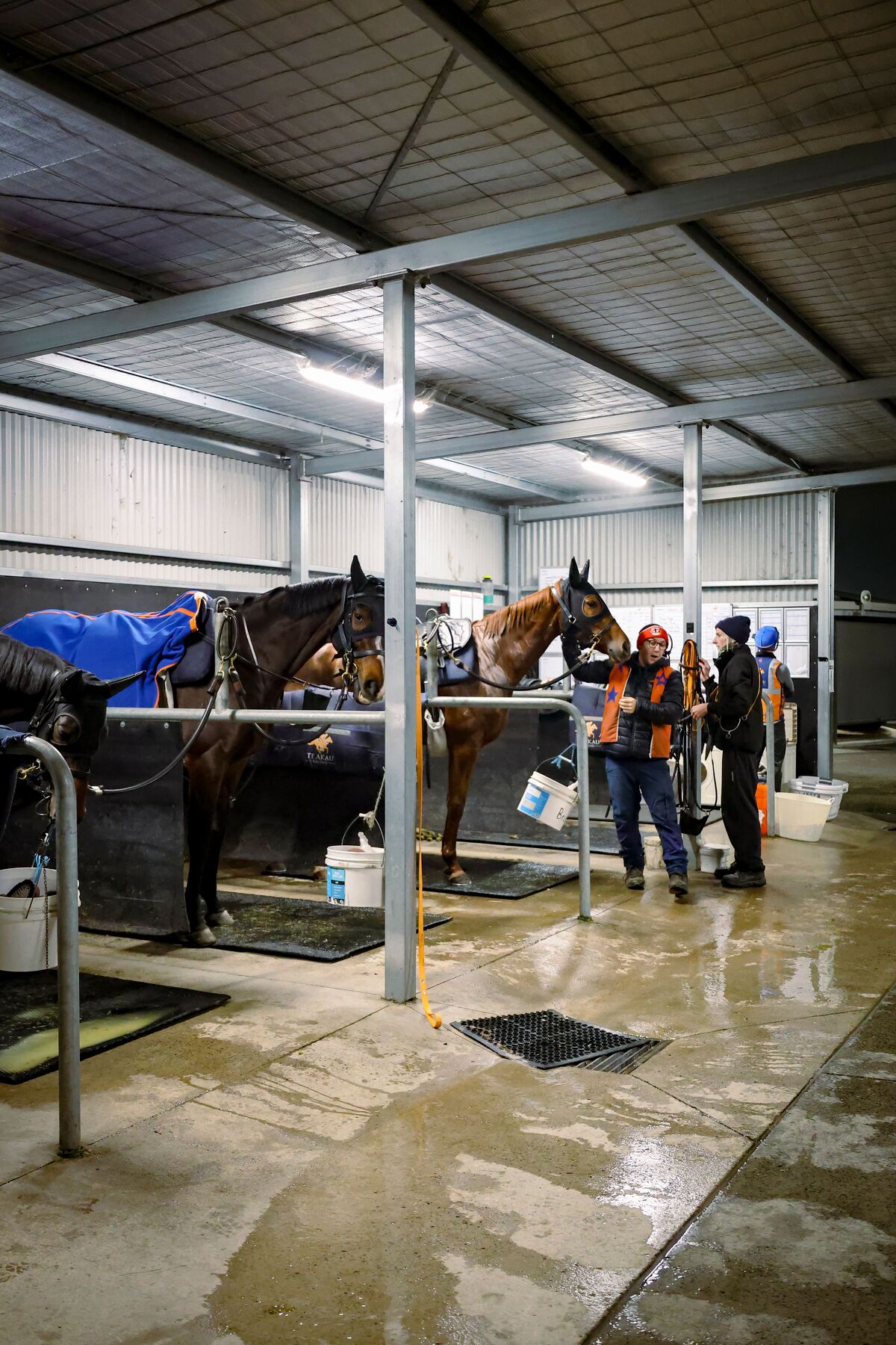 Te Akau Trans Tasman Saturday Trackwork